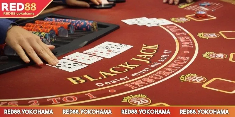 Bài blackjack là gì – Cách tính điểm đơn giản