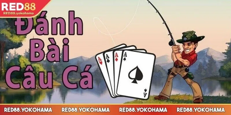 Bài câu cá yêu cầu hội viên tính toán linh hoạt 