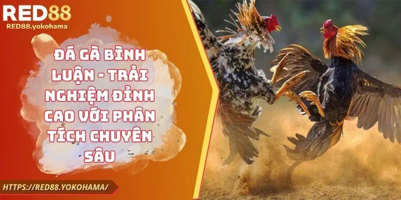 Đá Gà Bình Luận - Trải Nghiệm Đỉnh Cao Với Phân Tích Chuyên Sâu