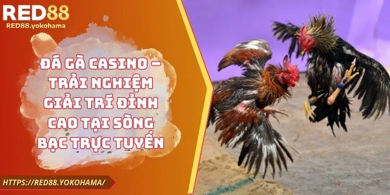 Đá Gà Casino – Trải Nghiệm Giải Trí Đỉnh Cao Tại Sòng Bạc Trực Tuyế