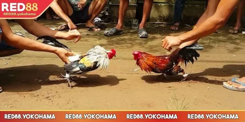 Chiến thuật bám sát diễn biến mỗi trận đấu