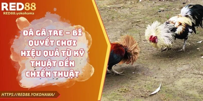 Đá Gà Tre – Bí Quyết Chơi Hiệu Quả Từ Kỹ Thuật Đến Chiến Thuật