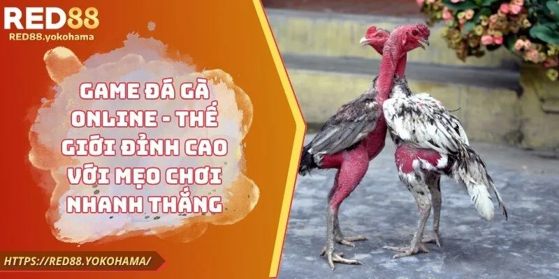 Game Đá Gà Online - Thế Giới Đỉnh Cao Với Mẹo Chơi Nhanh Thắng