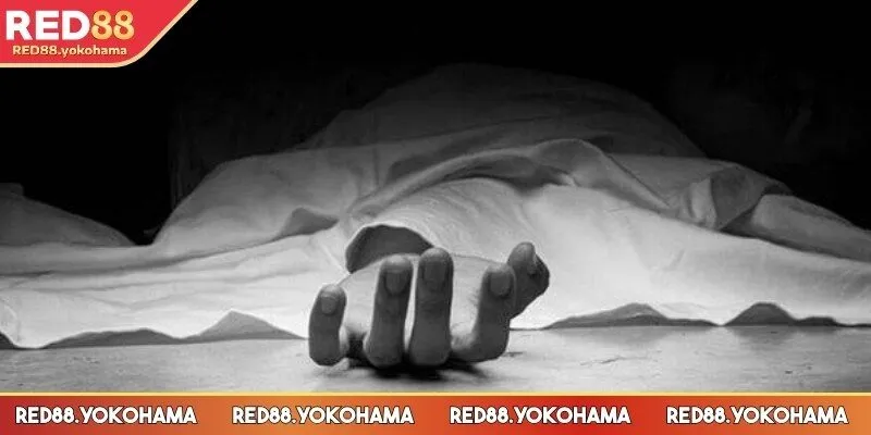 Một số trường hợp gợi ý cho hội viên