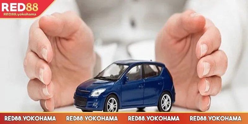 Khi thấy ô tô đánh con 28, 89, 19, 63
