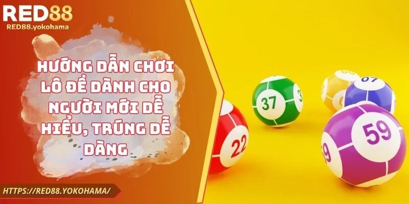 Hướng Dẫn Chơi Lô Đề Dành Cho Người Mới Dễ Hiểu, Trúng Dễ Dàng