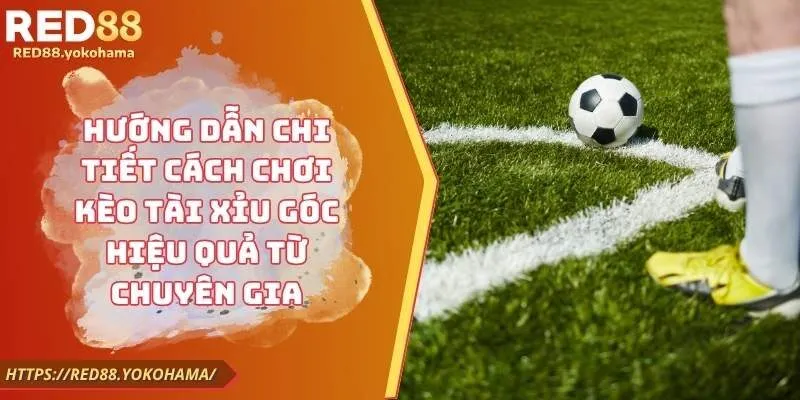 Hướng Dẫn Chi Tiết Cách Chơi Kèo Tài Xỉu Góc Hiệu Quả Từ Chuyên Gia