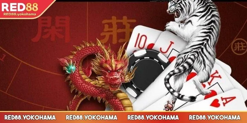 Các bước tham gia đơn giản