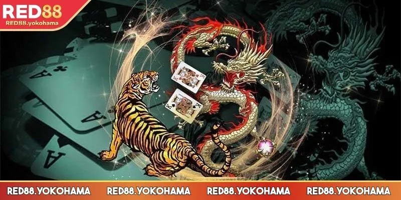 Cách chơi rồng hổ