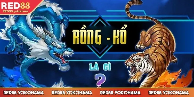 Giới thiệu sơ lược kinh nghiệm chơi rồng hổ