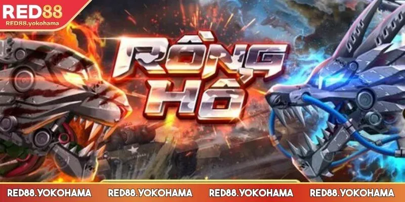 Kinh nghiệm chơi rồng hổ chi tiết hiệu quả