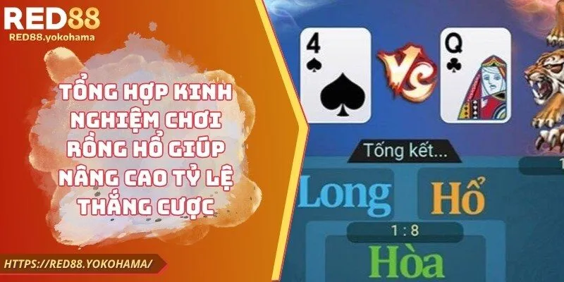 Tổng Hợp Kinh Nghiệm Chơi Rồng Hổ Giúp Nâng Cao Tỷ Lệ Thắng Cược