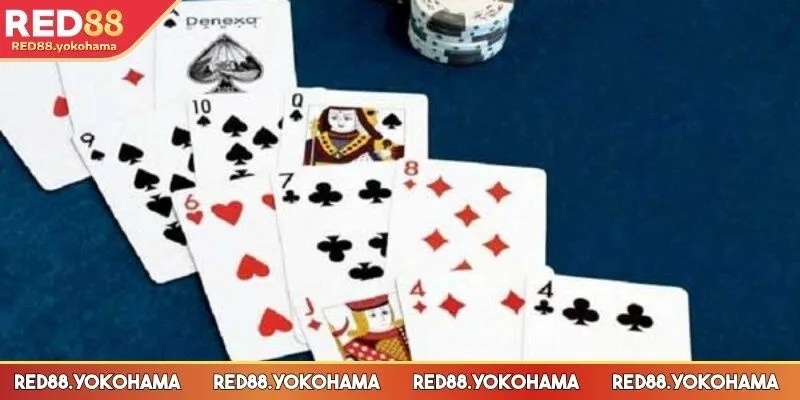 Hội viên chia bài của mình thành các chi mạnh yếu