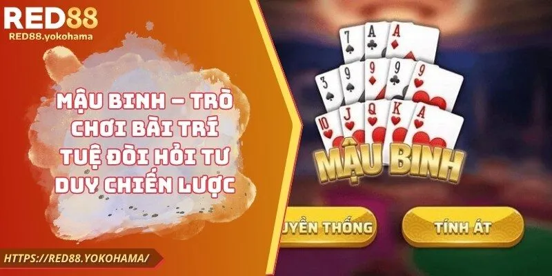 Mậu binh là trò chơi bài chiến thuật hấp dẫn đòi hỏi tư duy sắp xếp và tính toán. Nắm rõ luật chơi cơ bản và áp dụng chiến lược phù hợp giúp tăng cơ hội thắng.