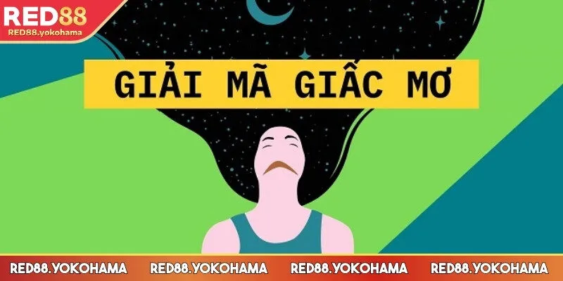Cấu trúc phân loại nội dung 
