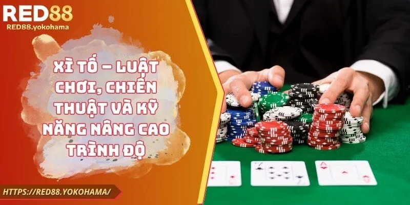 Xì Tố – Luật Chơi, Chiến Thuật Và Kỹ Năng Nâng Cao Trình Độ